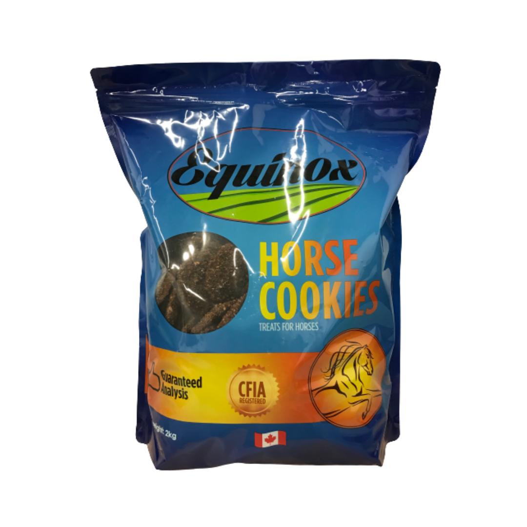 Equinox Horse Cookies
