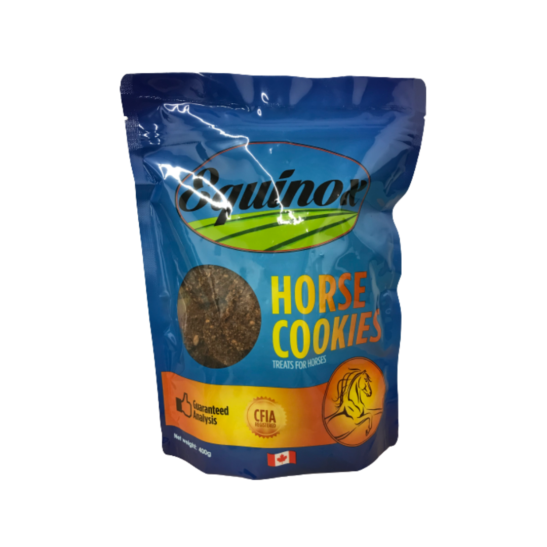 Equinox Horse Cookies