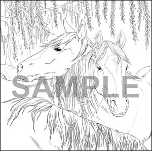 Vivid Horses: An Equine Colouring Collection