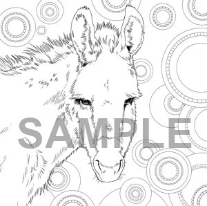 Vivid Horses: An Equine Colouring Collection
