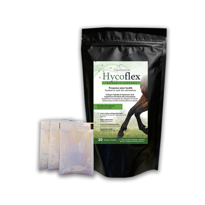 HycoFlex™ for Horses