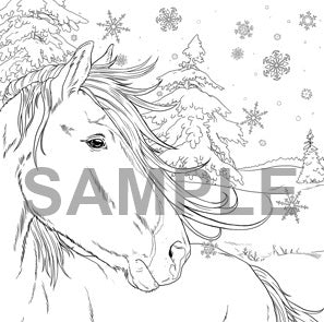 Vivid Horses: An Equine Colouring Collection